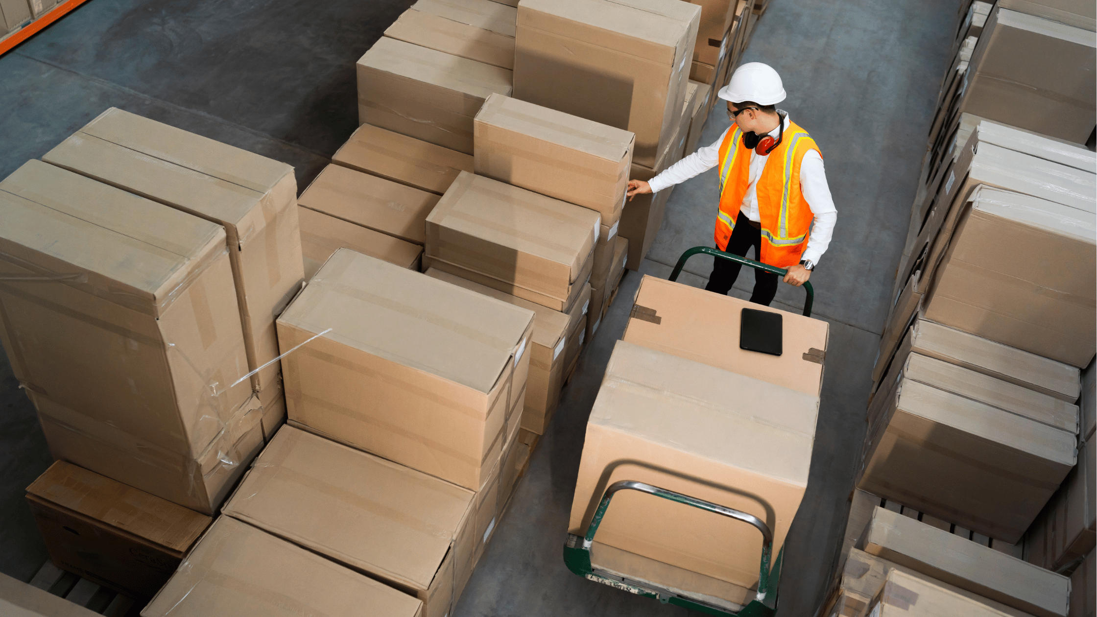3PL Warehousing for E-commerce: A Complete Guide to Storage Fulfillment and Distribution